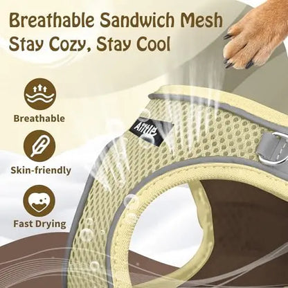 Adjustable harness & leash set for dogs,