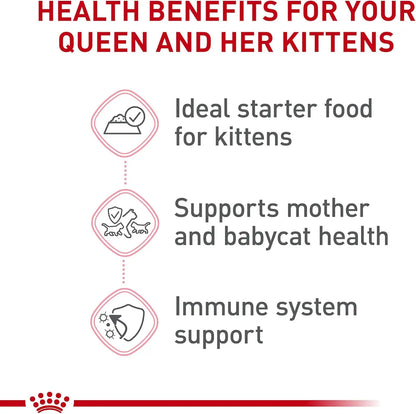 Cat Food for Mother & Kittens