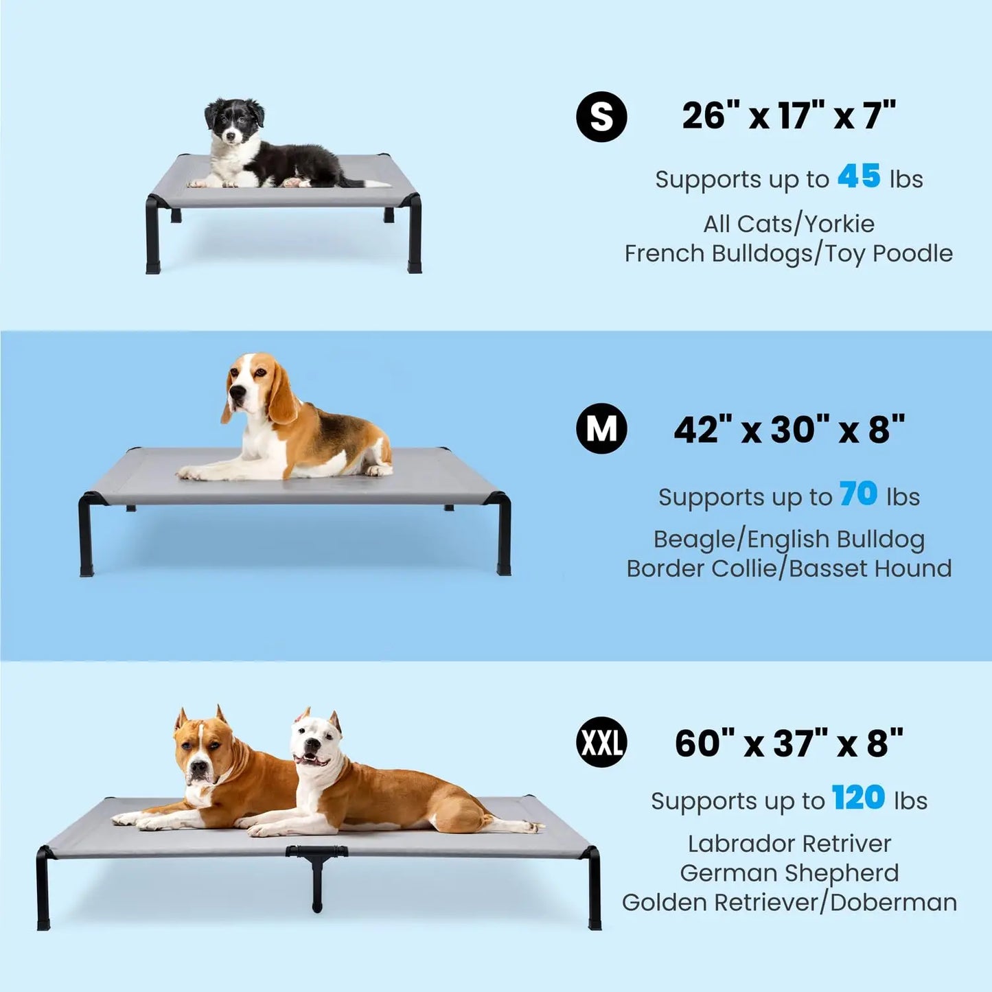 Elevated Dog Bed