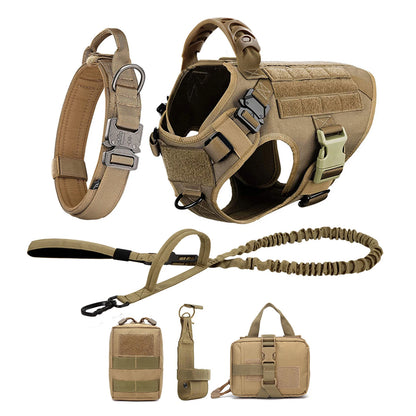 Dog Harness And Leash For Training, & Walking