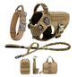 Dog Harness And Leash For Training, & Walking