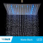 Rainfall Shower Head without Shower Arm
