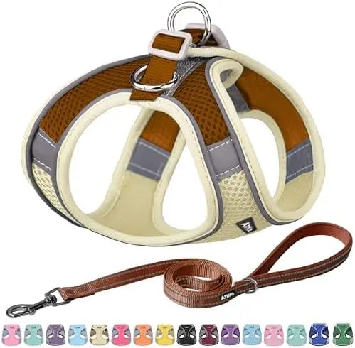 Adjustable harness & leash set for dogs,