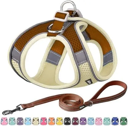 Adjustable harness & leash set for dogs,