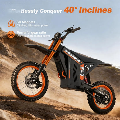 E Motorcycle Dirt Bike Fat Tire Off-road