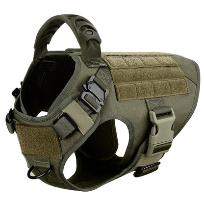Dog Harness And Leash For Training, & Walking