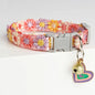 pet collar